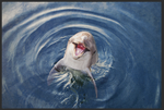 Lade das Bild in den Galerie-Viewer, Fussmatte Delfin 10870
