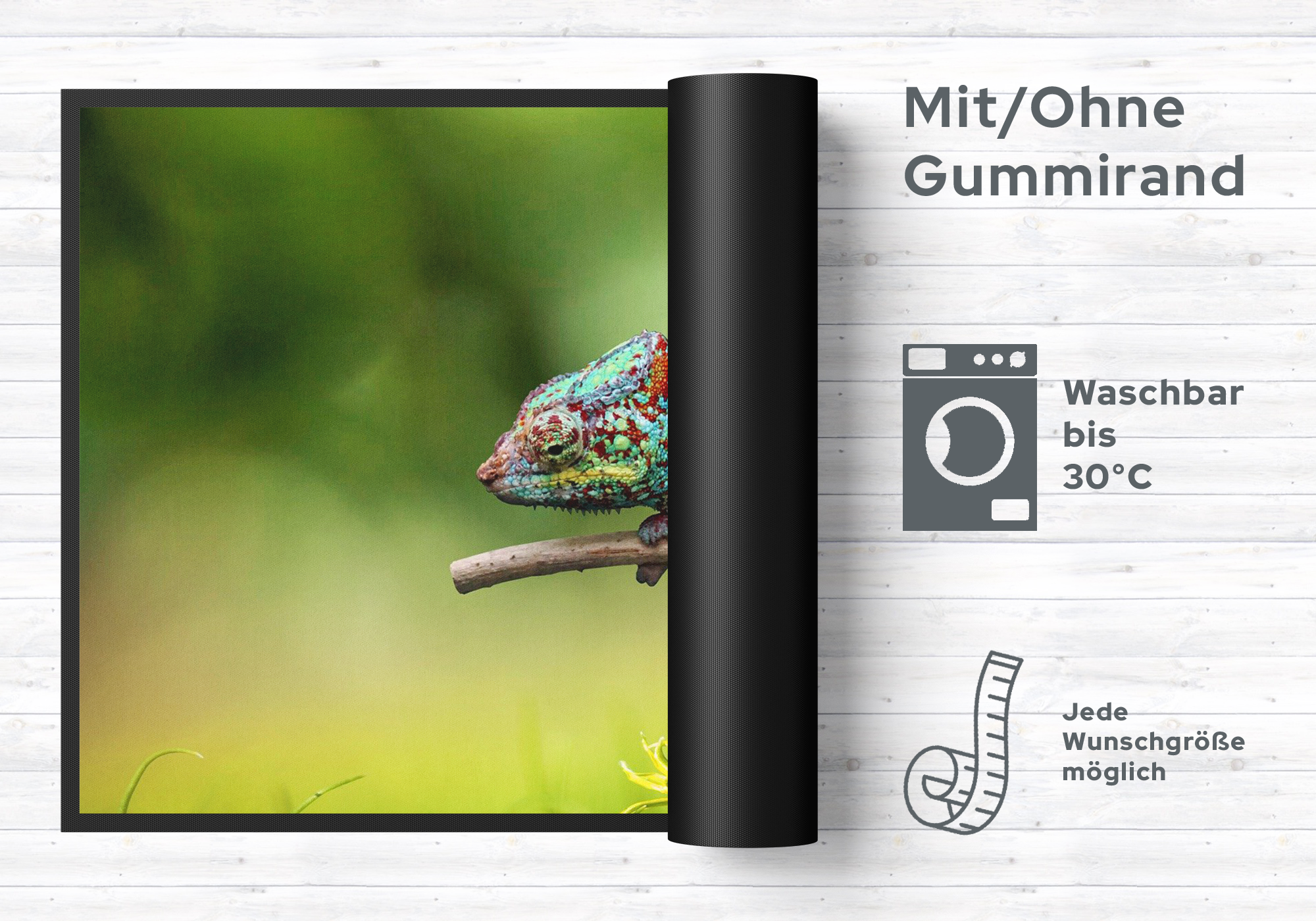 Fussmatte Chamäleon 10549