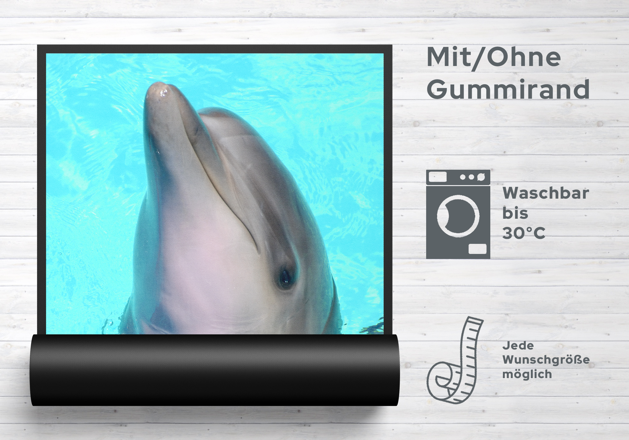 Fussmatte Delfin 10789