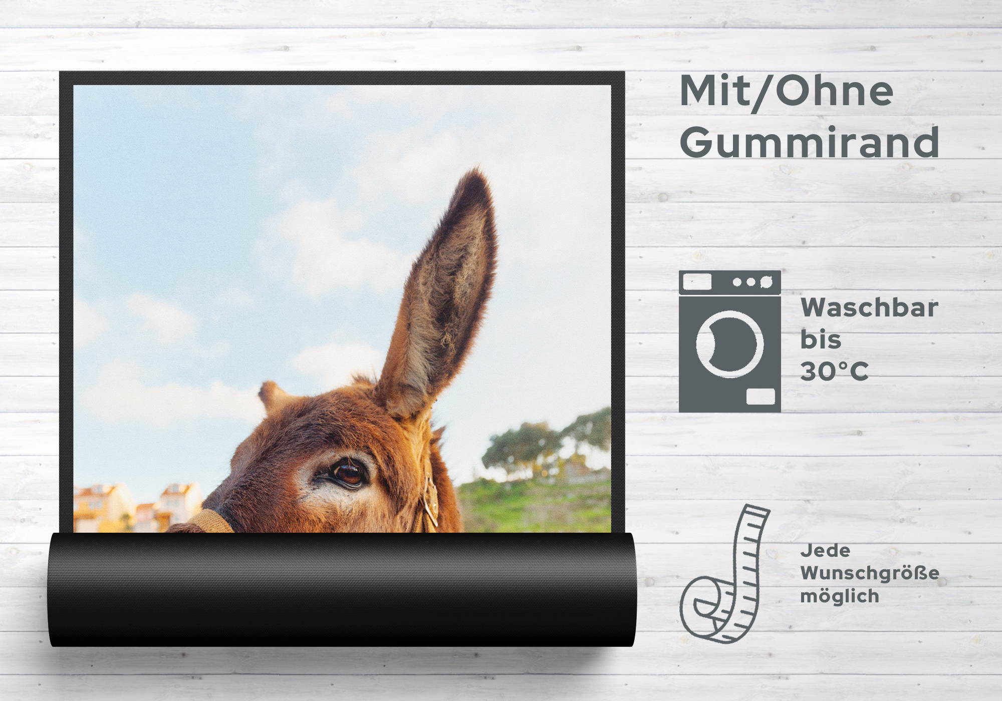 Fussmatte Esel 11124