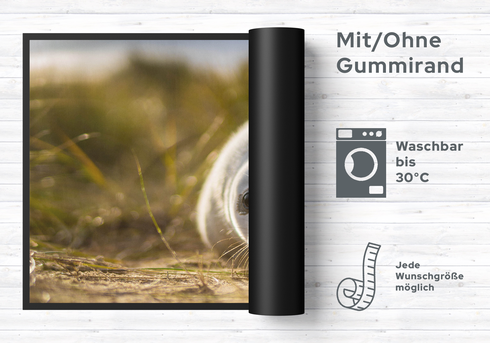 Fussmatte Seehund 6088