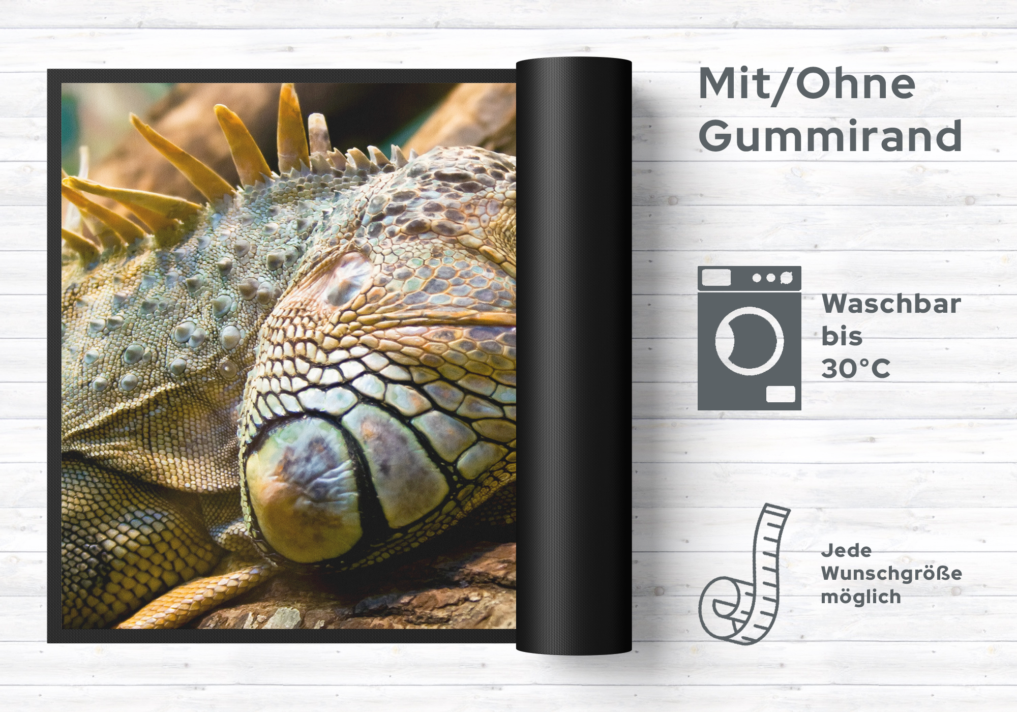 Fussmatte Reptil 6212