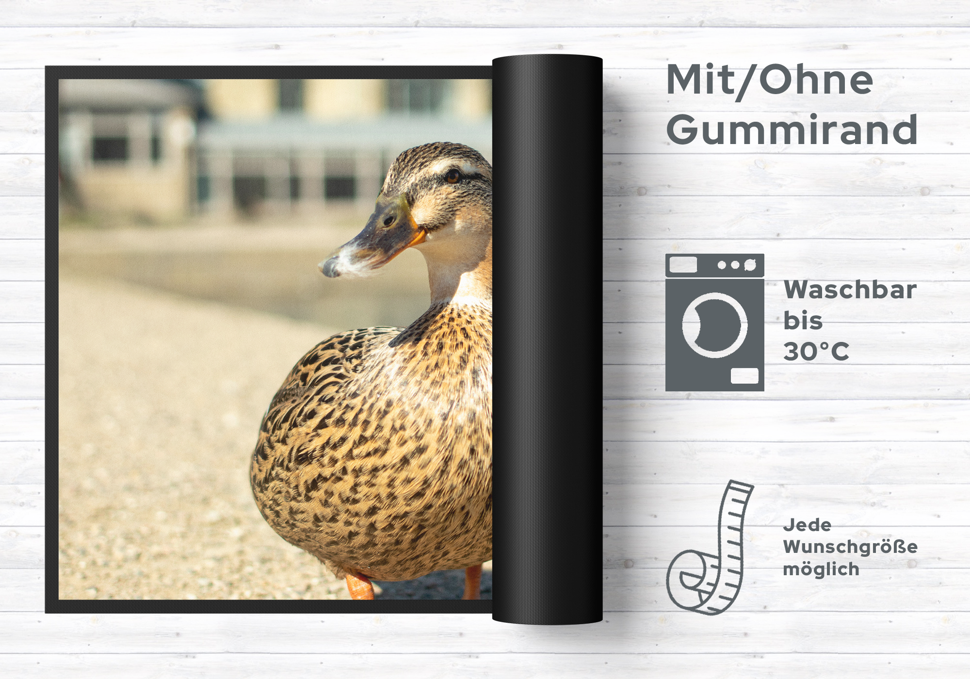 Fussmatte Enten 6246