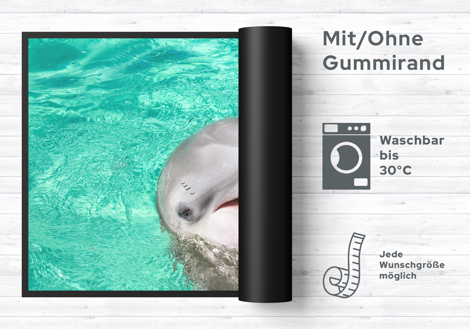 Fussmatte Delfin 6297