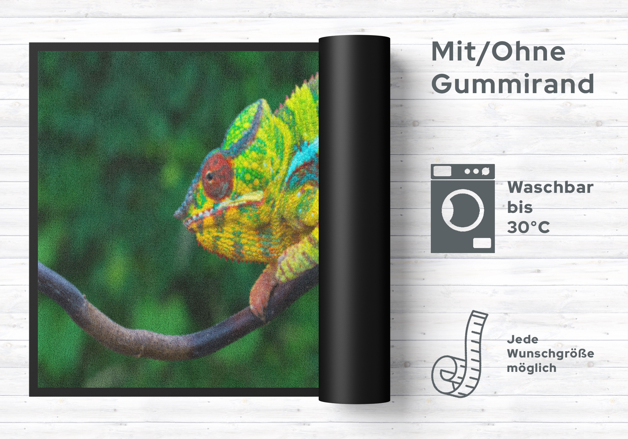 Fussmatte Chamäleon 4538