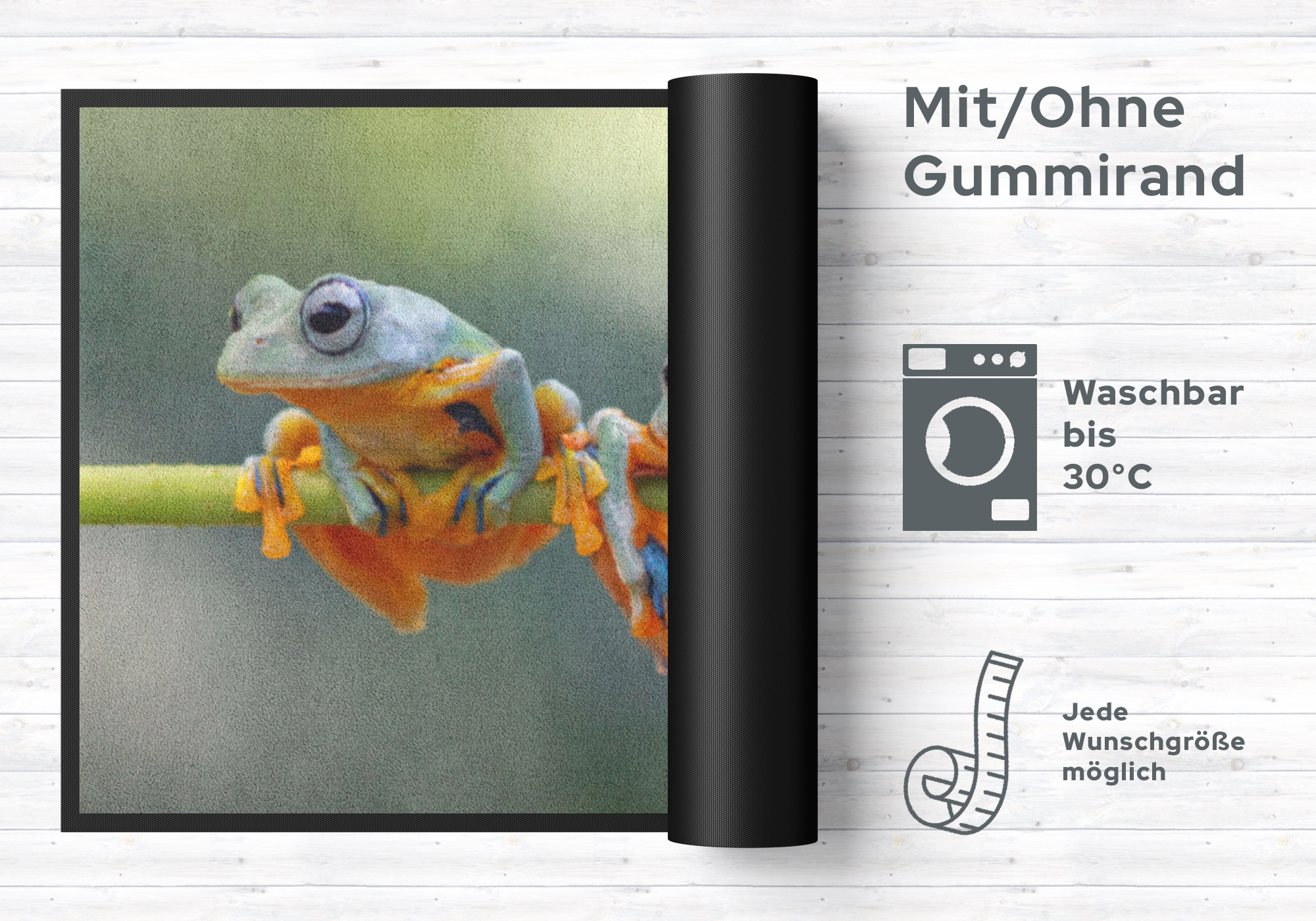 Fussmatte Frösche 4539