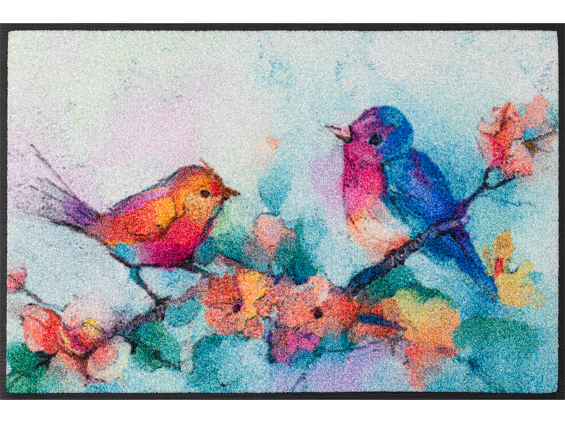 Birdorama wash + dry Fußmatte