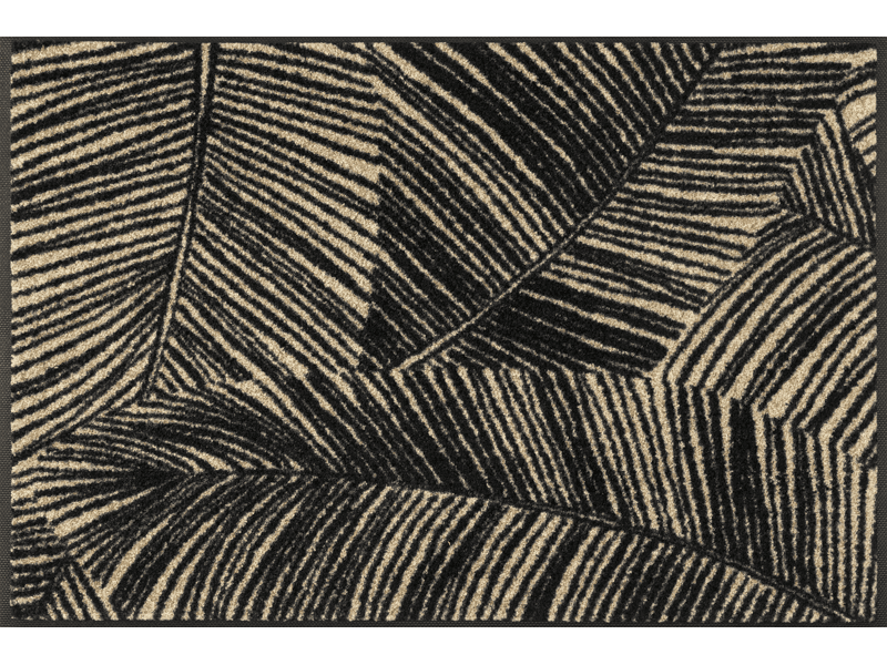 Fernetic wash + dry Matte