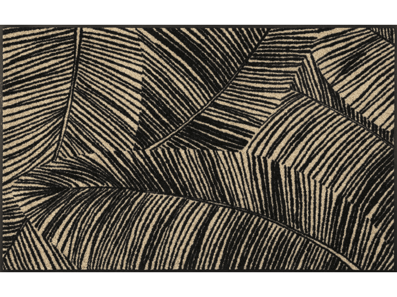 Fernetic wash + dry Matte