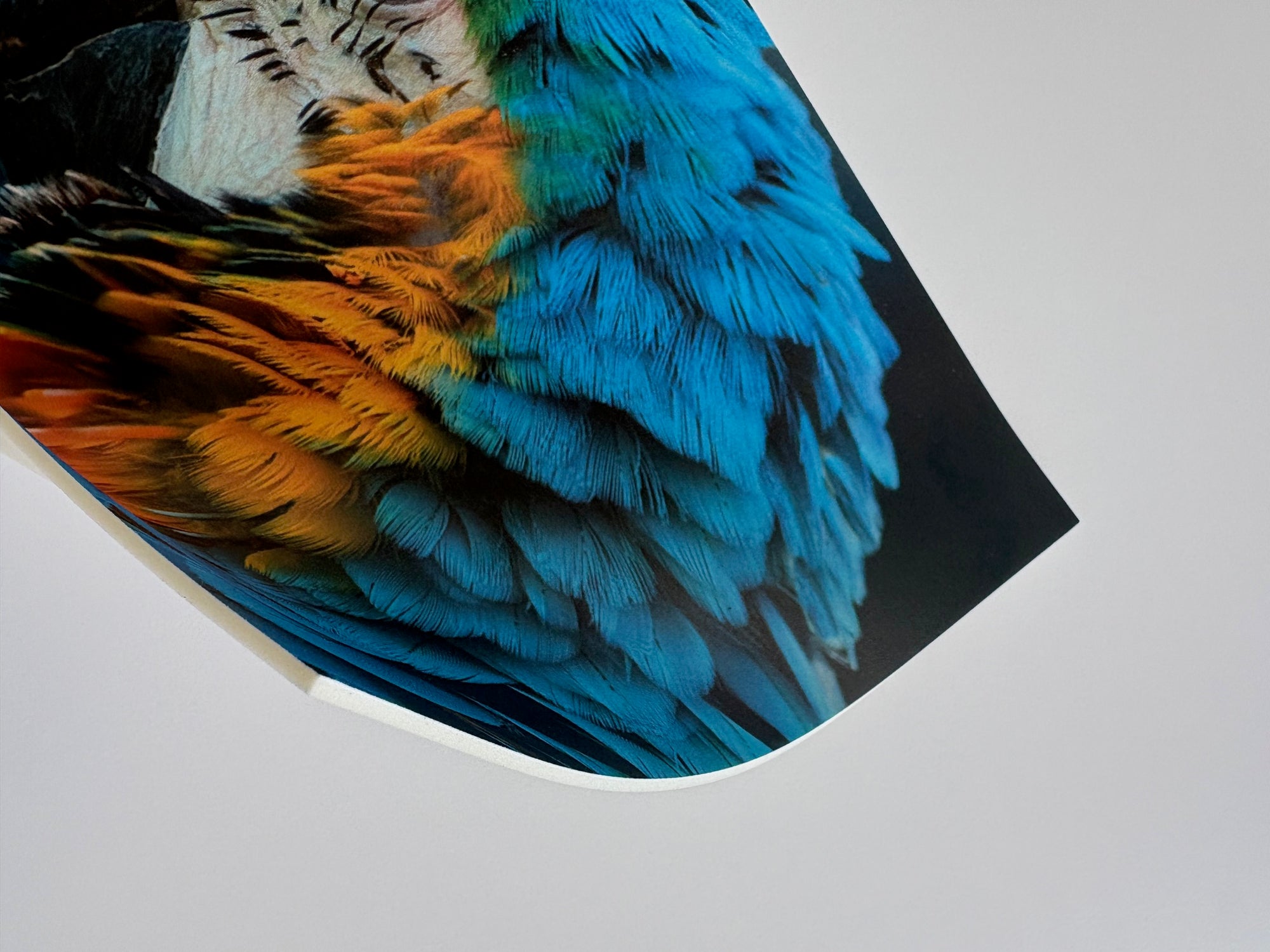 Vinylboden individuell bedruckt 200 qm