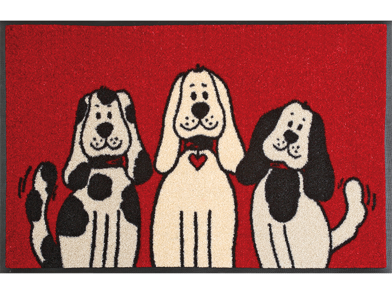 Three Dogs wash + dry Matte