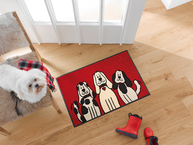 Three Dogs wash + dry Matte