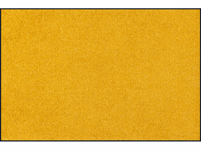 Trendcolour Honey Gold wash + dry Matte