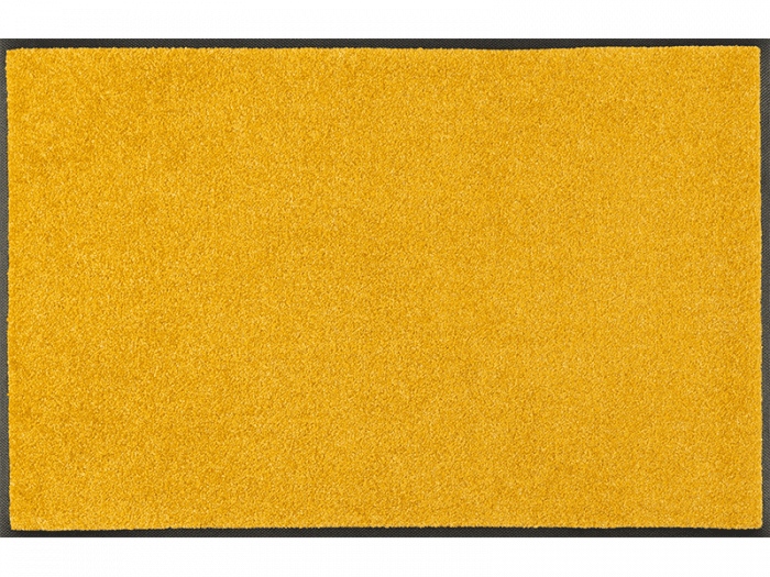 Trendcolour Honey Gold wash + dry Matte