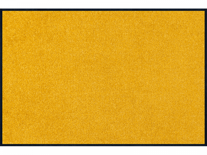 Trendcolour Honey Gold wash + dry Matte