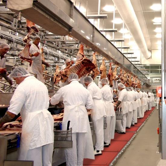 458 Skystep™ rote Küchenmatte mit abgeschrägten Kanten