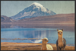 Lade das Bild in den Galerie-Viewer, Fussmatte Alpaca 10331
