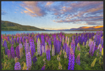 Lade das Bild in den Galerie-Viewer, Fussmatte Lake Tekapo Neuseeland 10367
