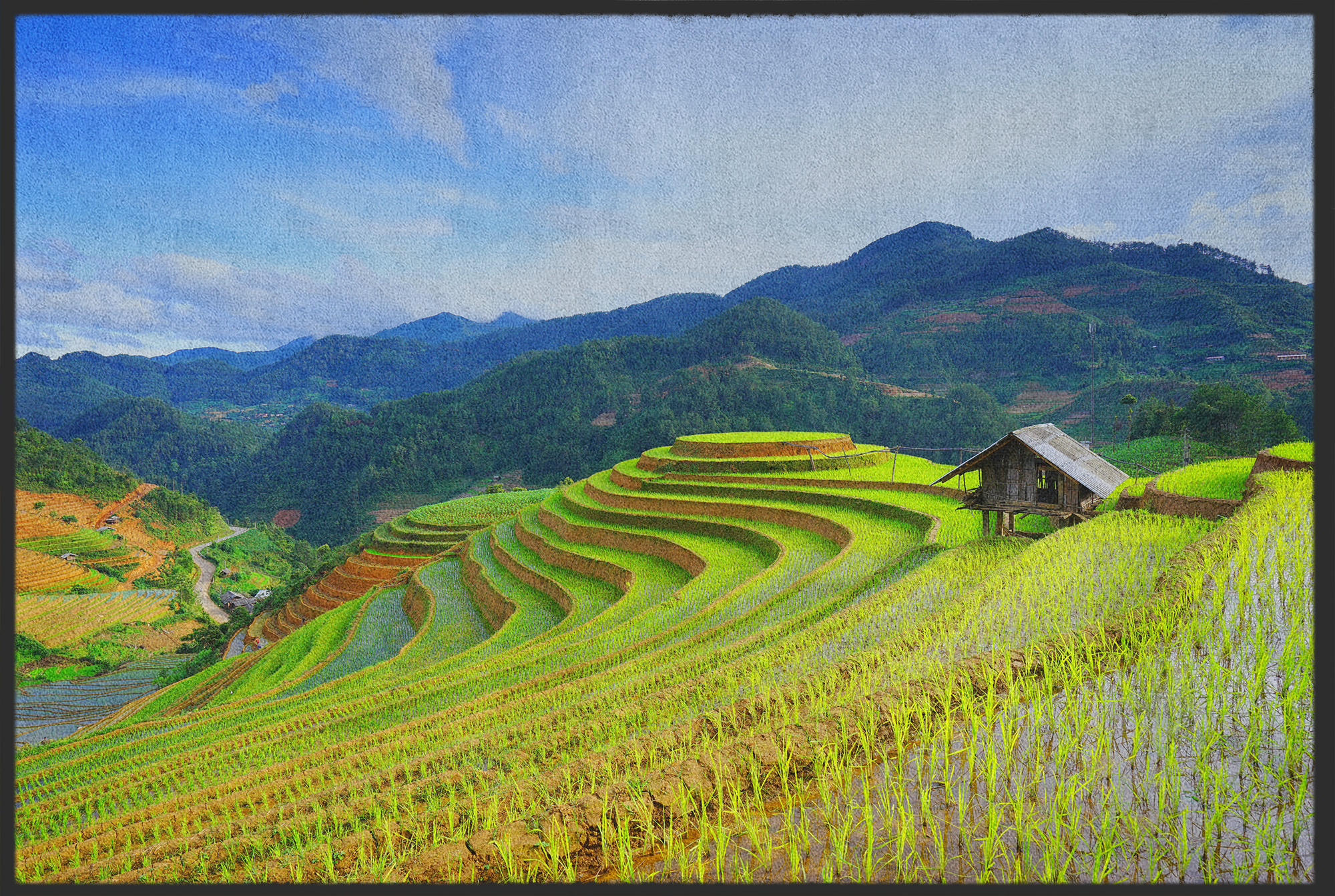 Fussmatte Reisterasse 10411