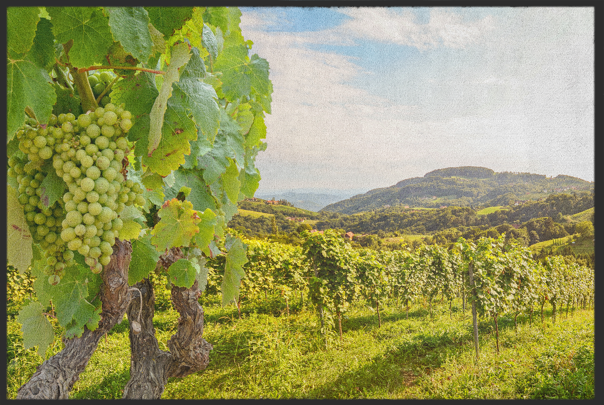 Fussmatte Weinrebe 10414