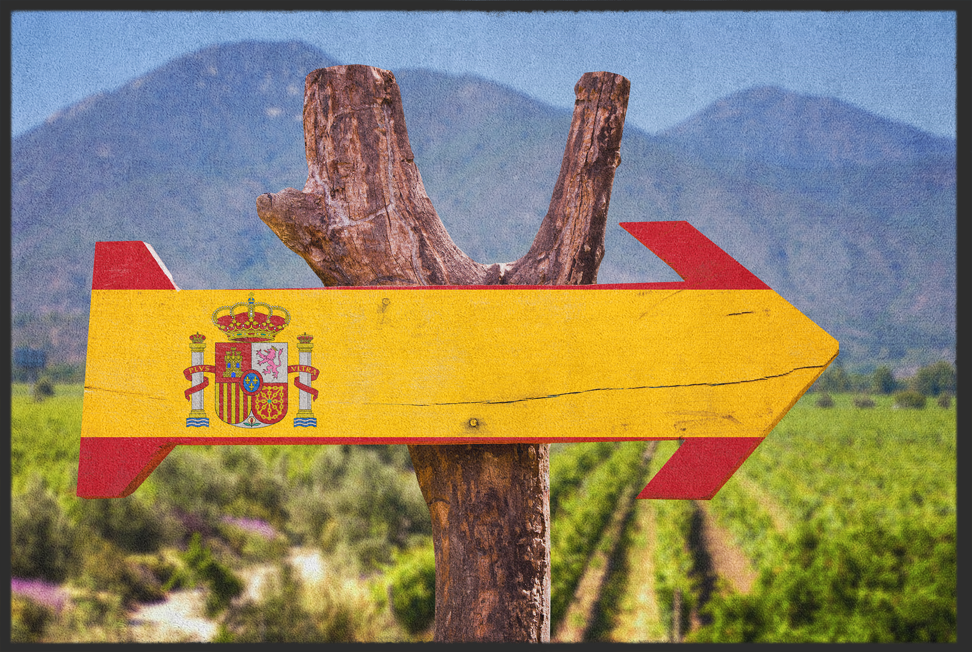 Fussmatte Spanien 10483