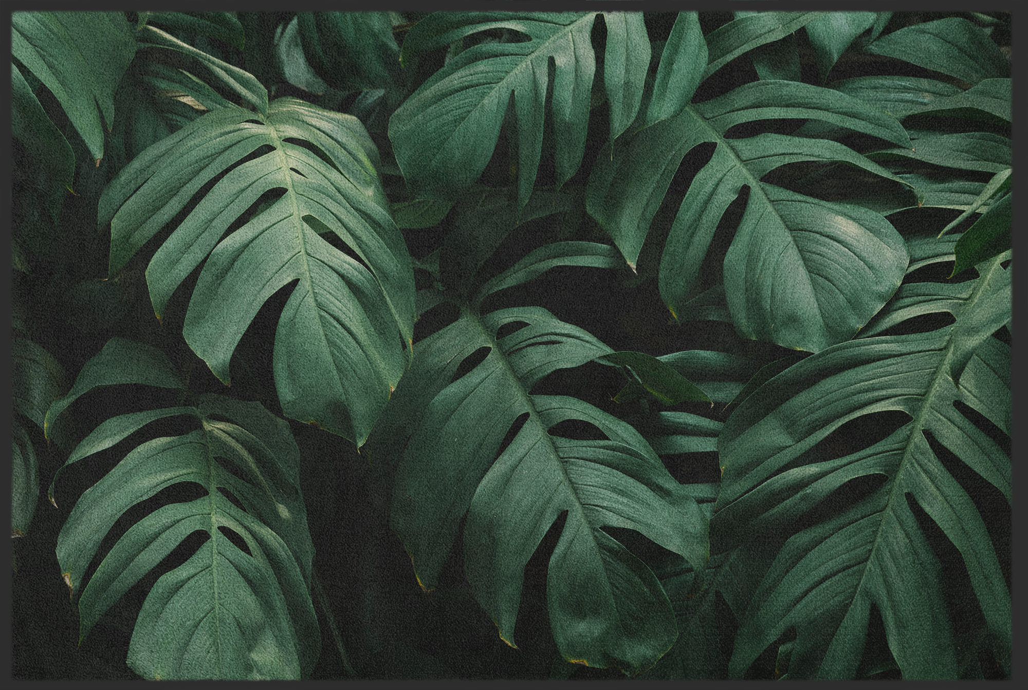 Fussmatte Monstera 10527