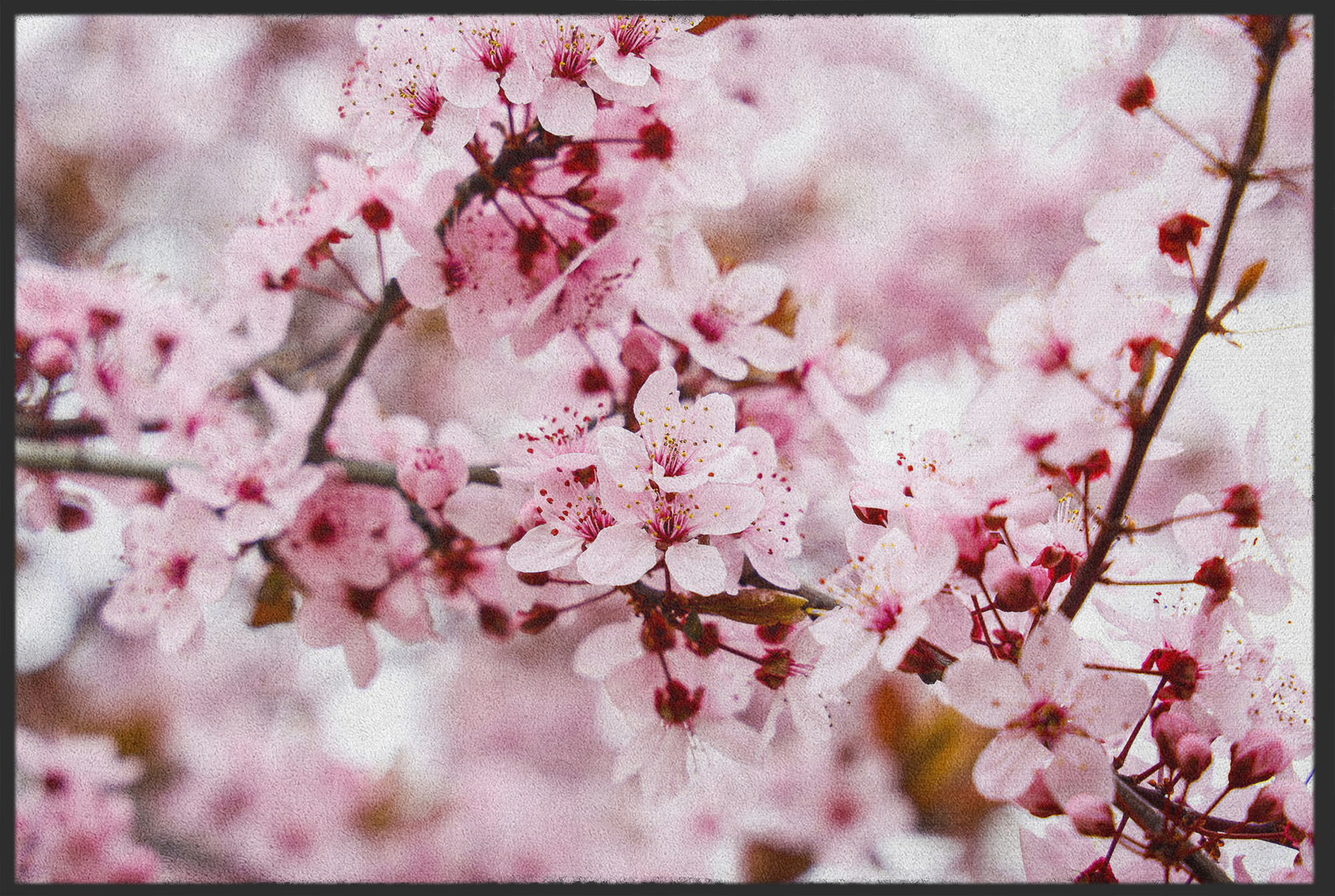 Fussmatte Mandelblüte 10547