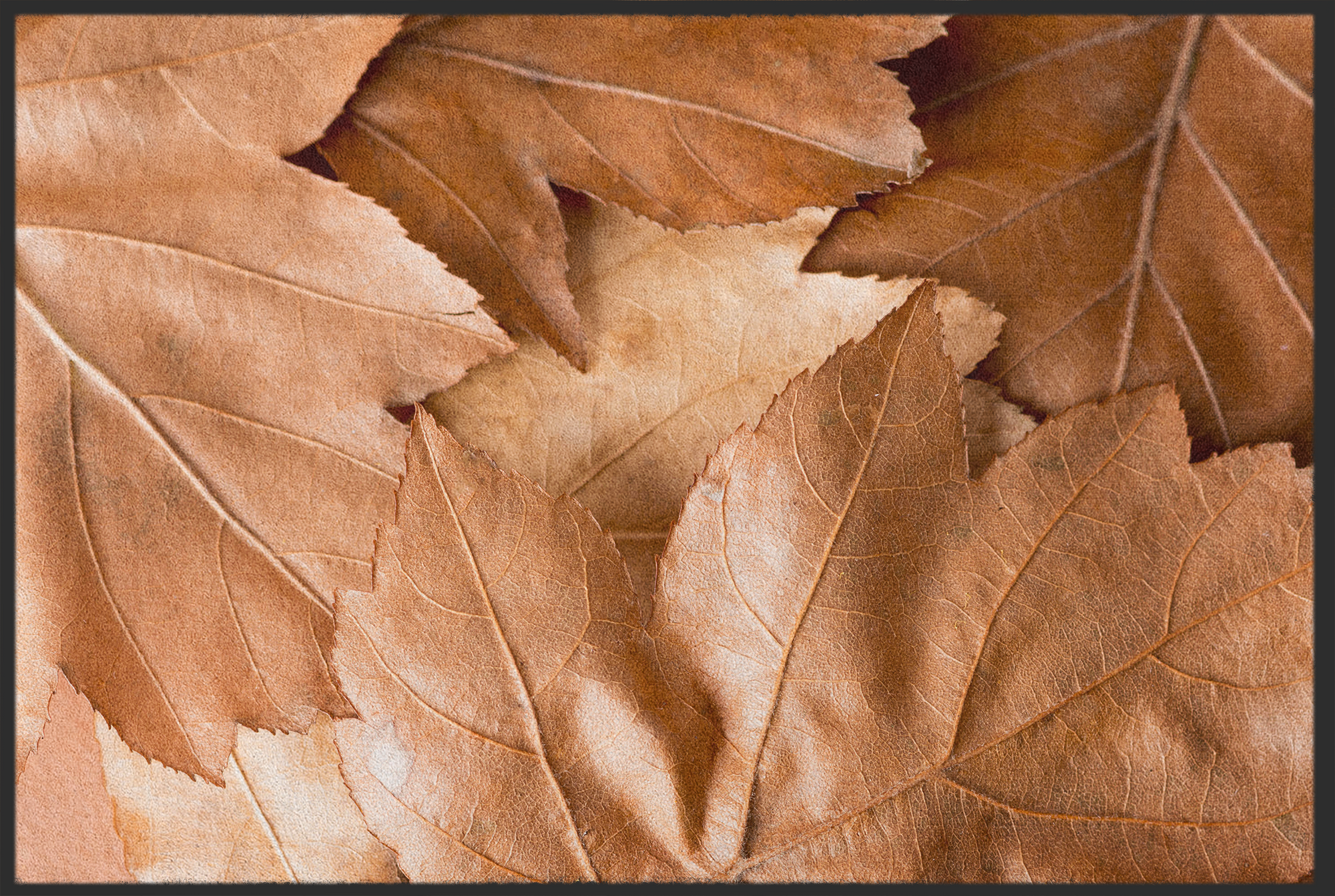 Fussmatte Herbst 10570