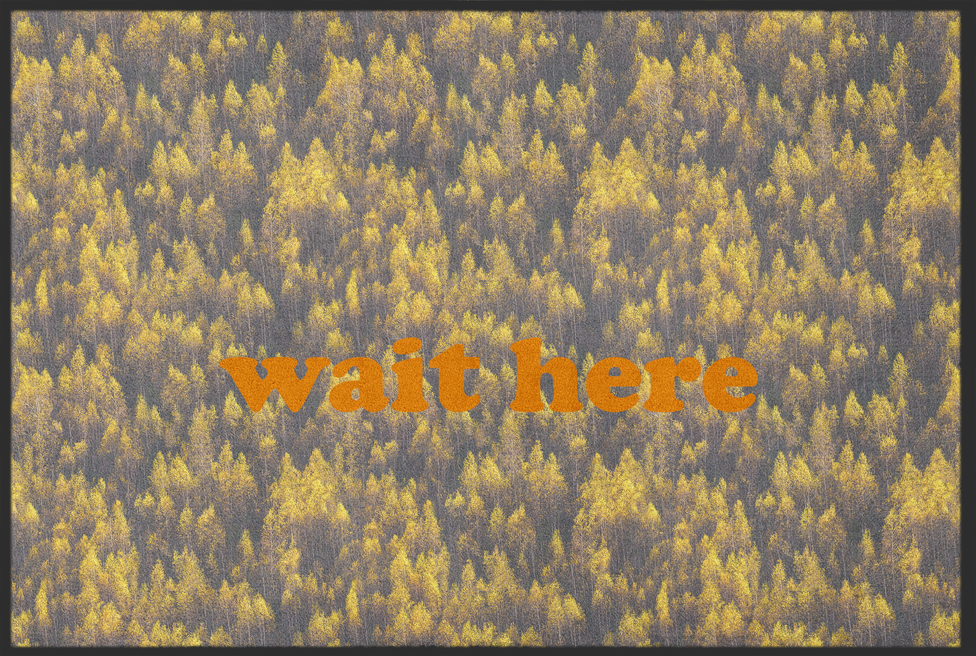 Fussmatte Wait here 10609