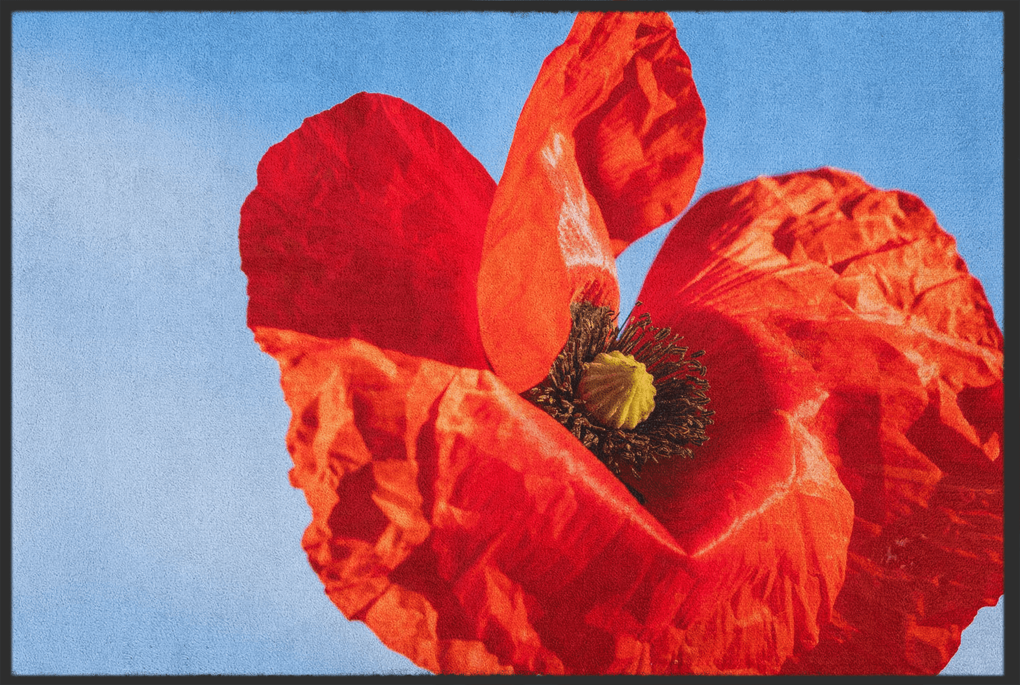 Fussmatte Mohn 10650