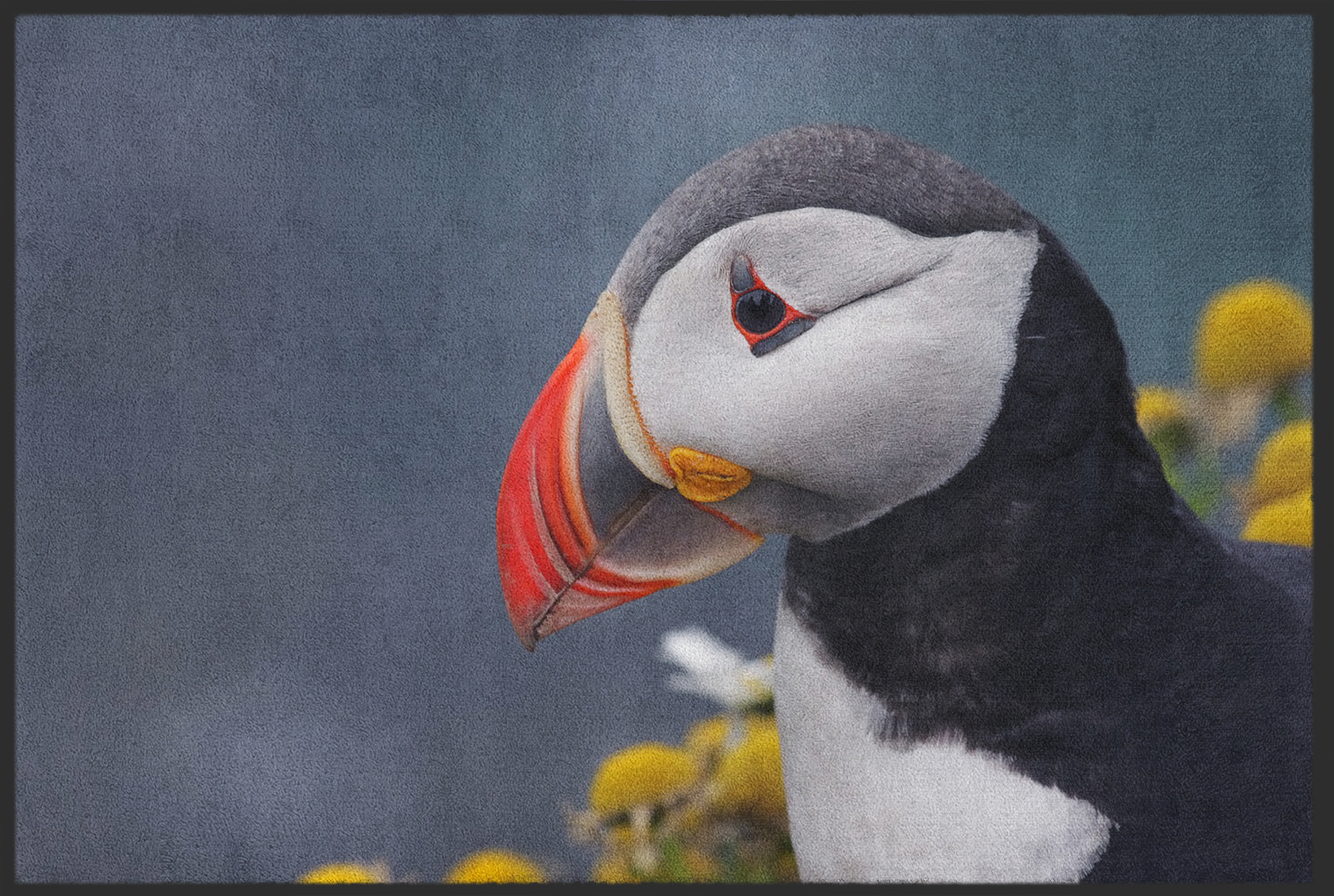 Fussmatte Papageientaucher 10686