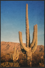Lade das Bild in den Galerie-Viewer, Fussmatte Kaktus 10698
