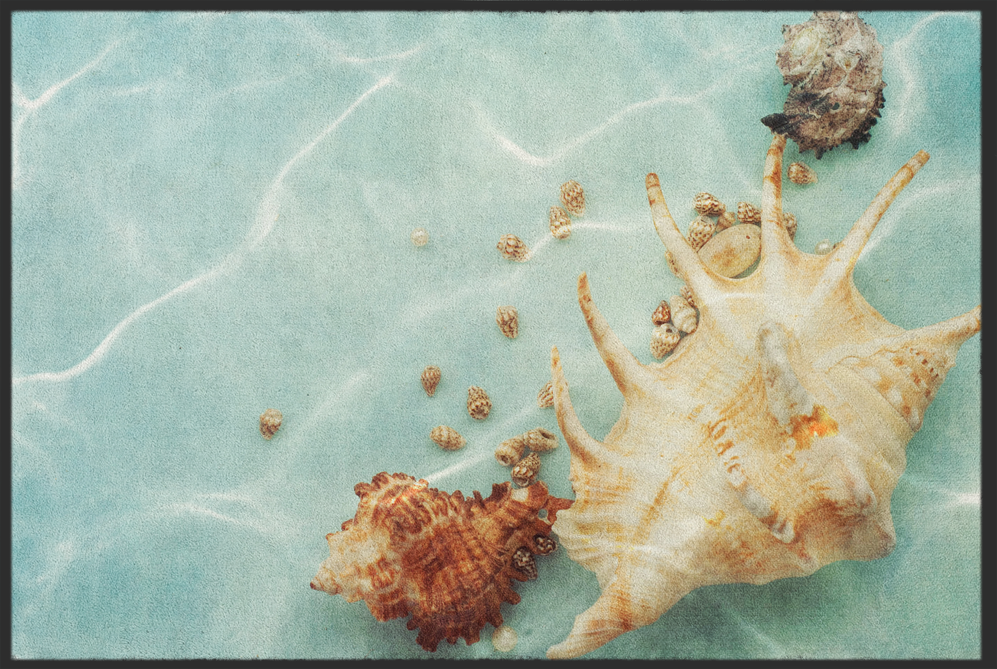 Fussmatte Muscheln 10700