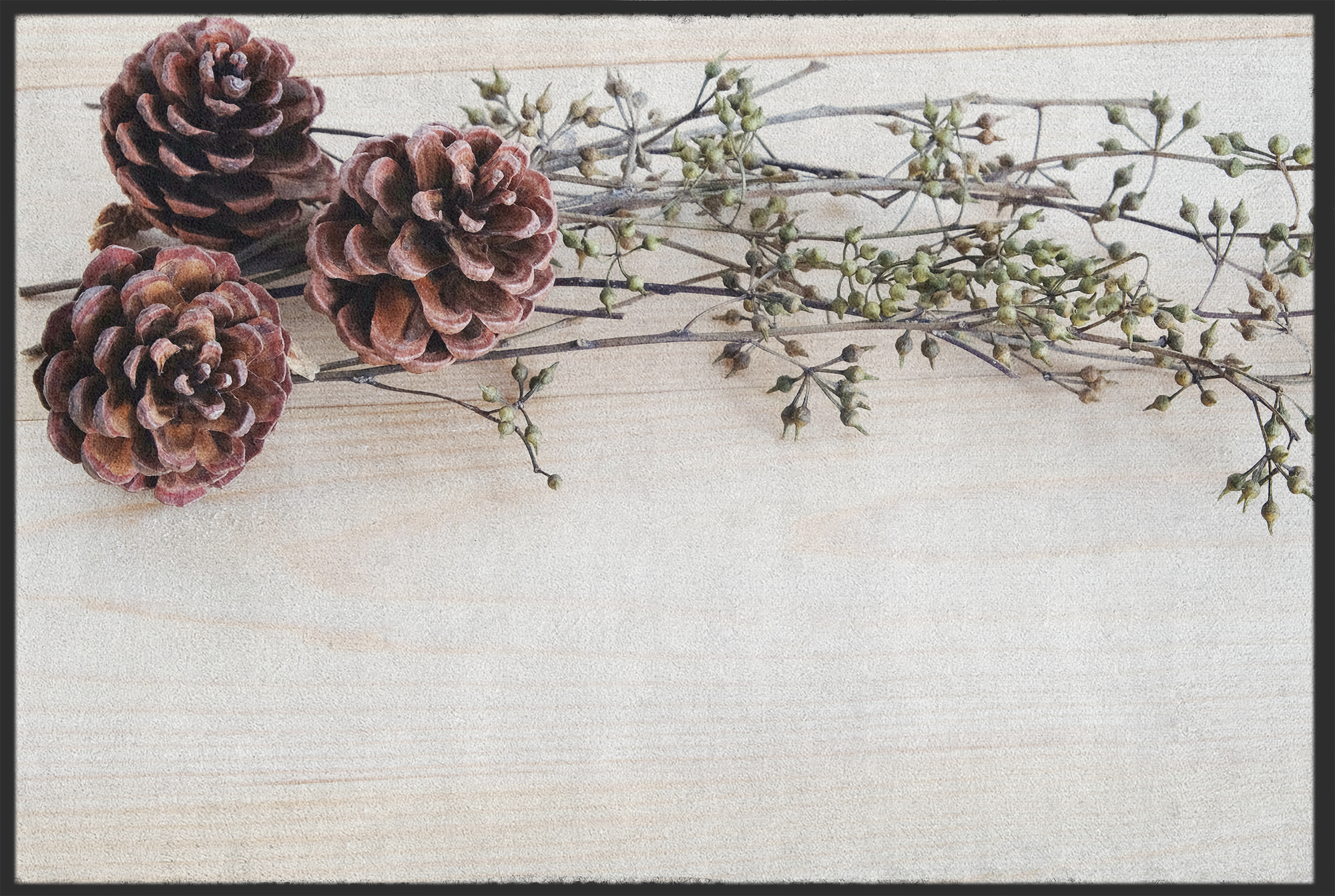 Fussmatte Tannenzapfen 10703