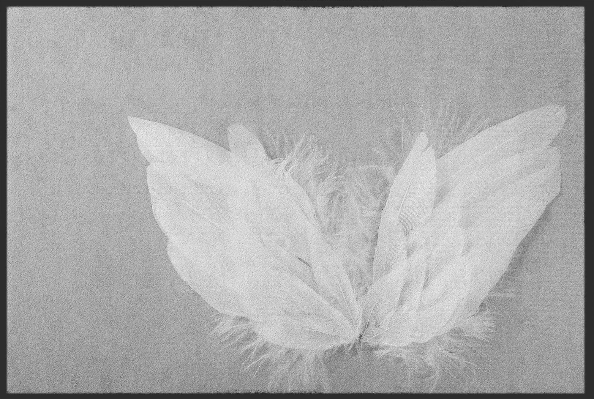 Fussmatte Engelsflügel 10708