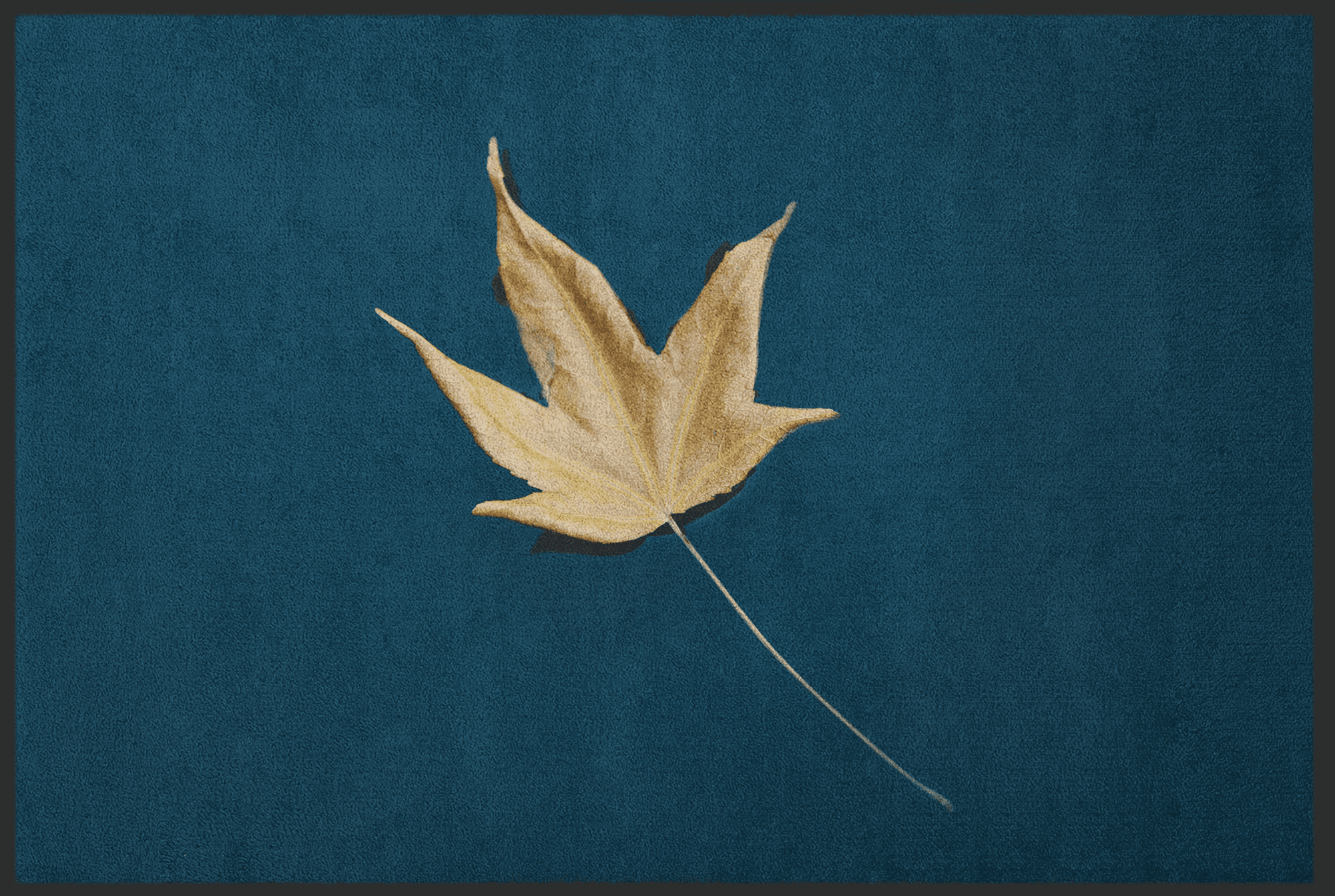 Fussmatte Herbst 10720