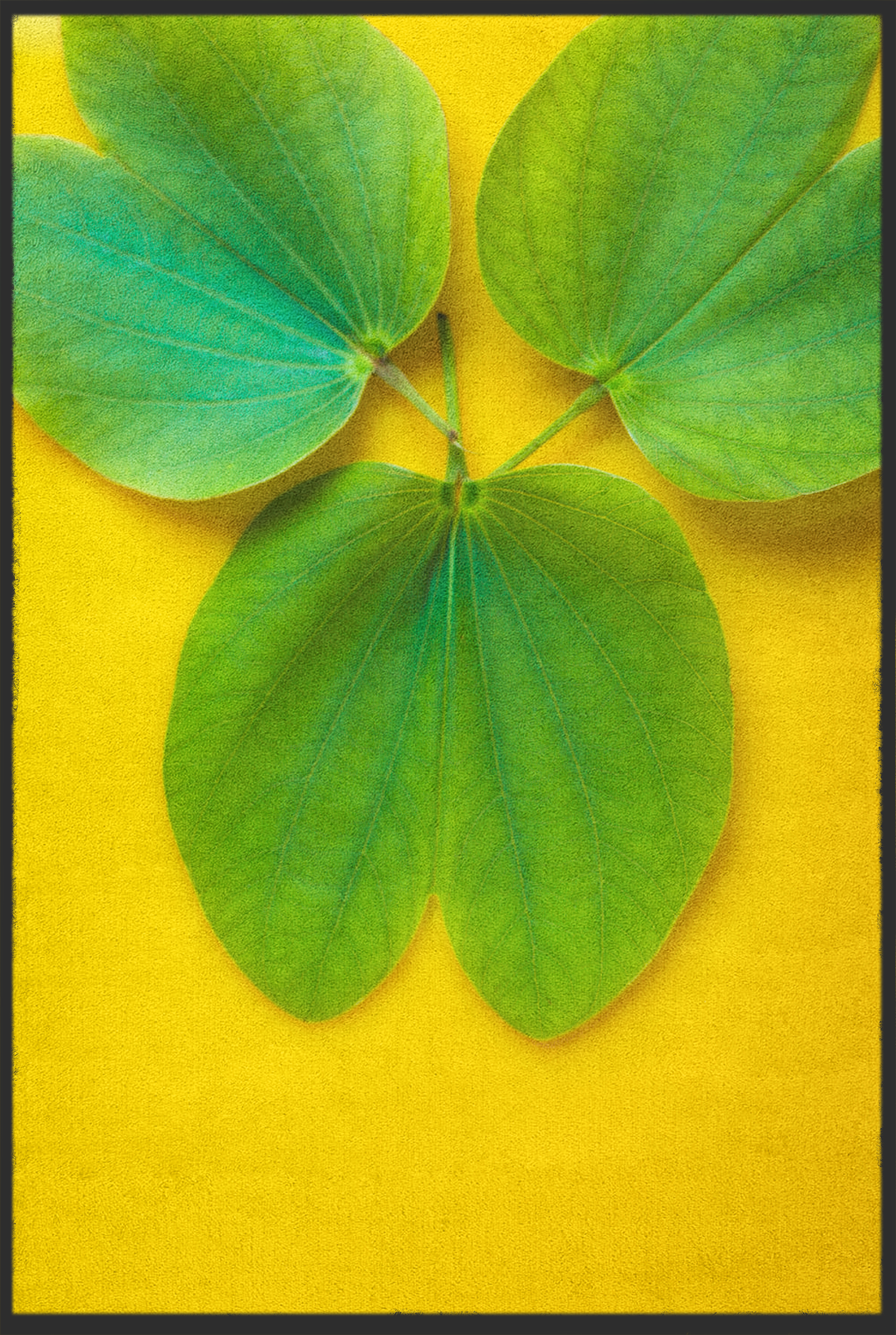 Fussmatte Blätter 10723