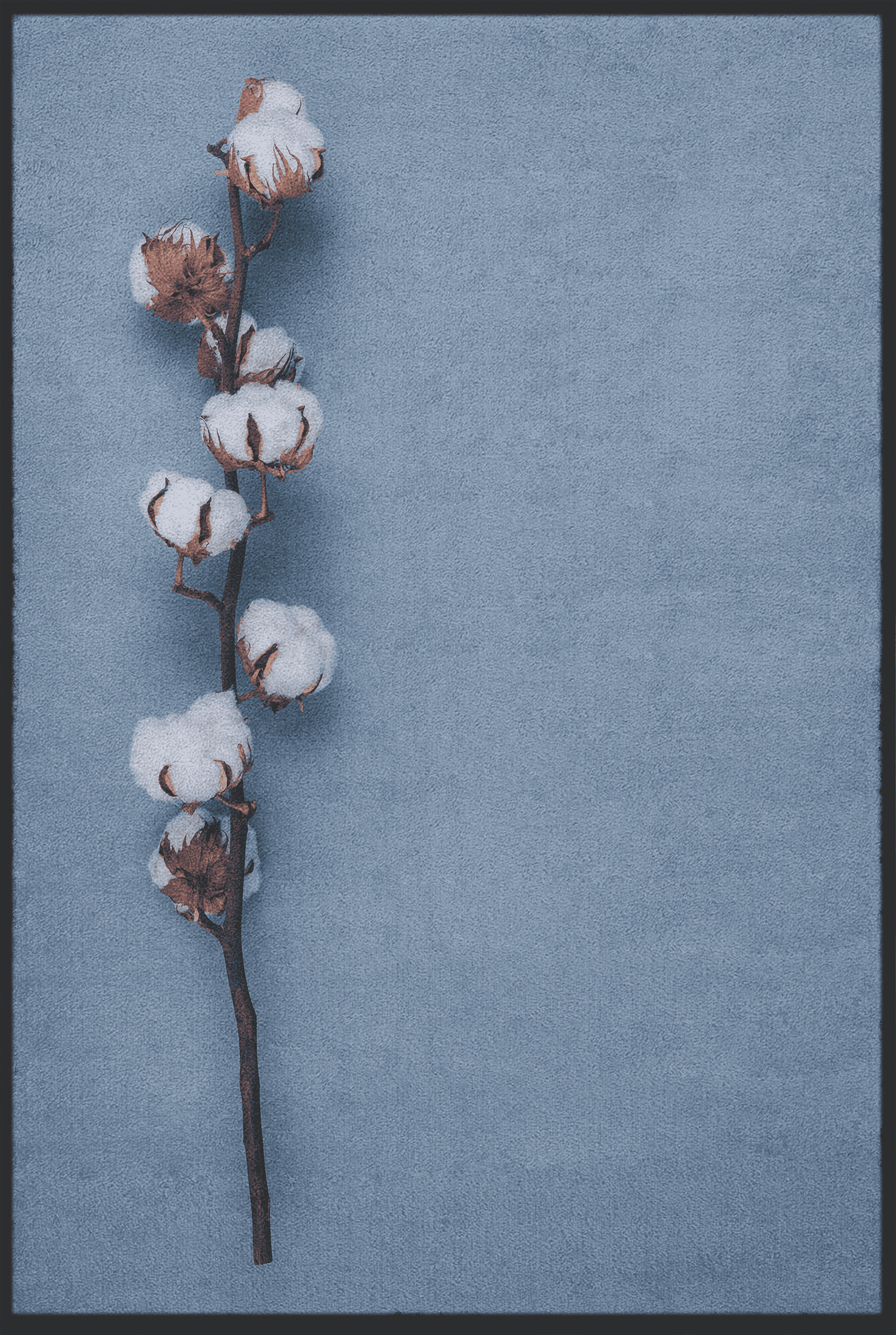 Fussmatte Baumwolle 10724