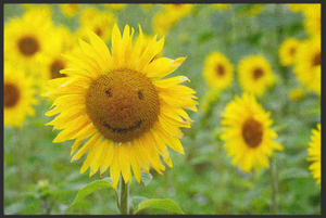 Fussmatte Sonnenblume 10725