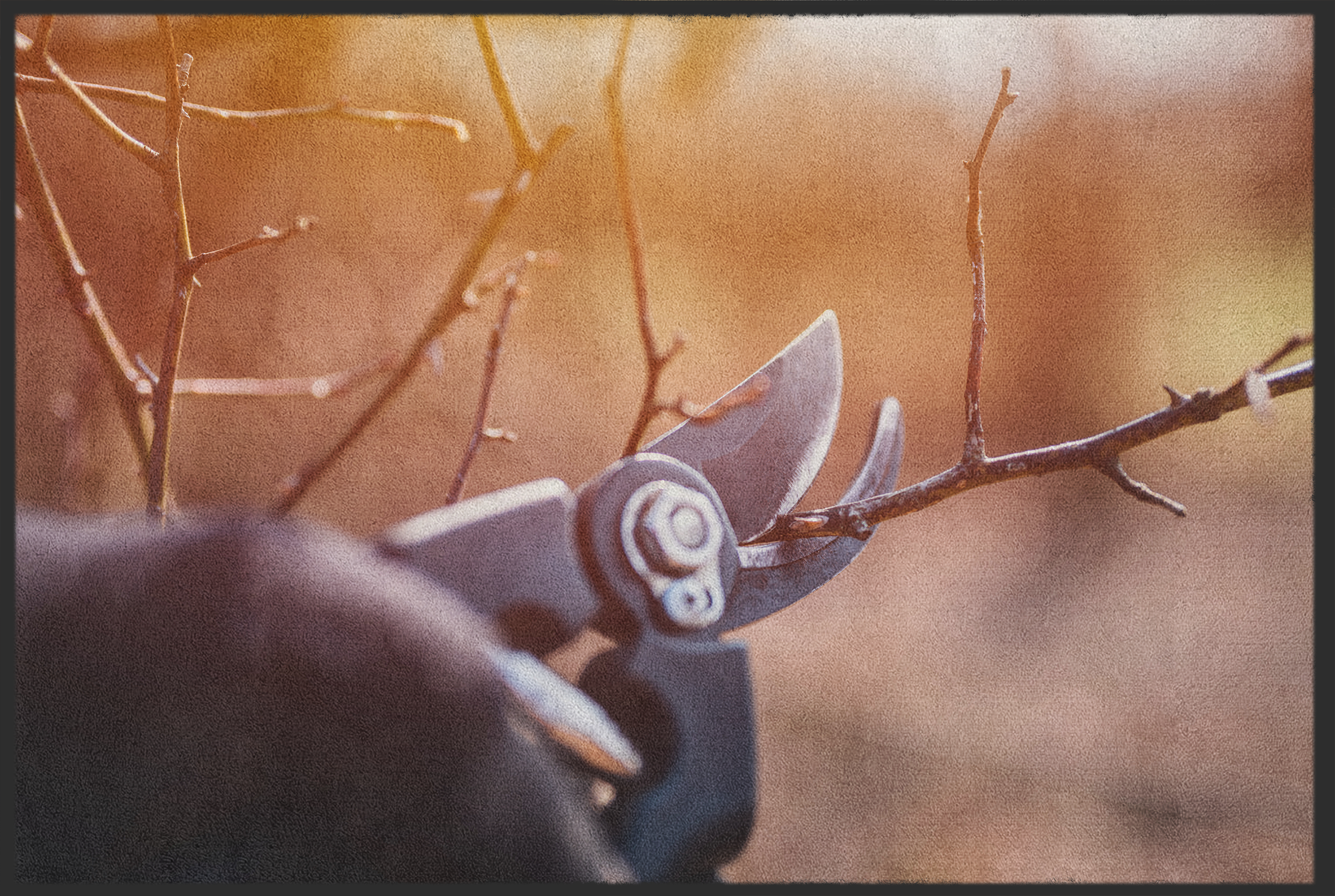 Fussmatte Gärtner 10778