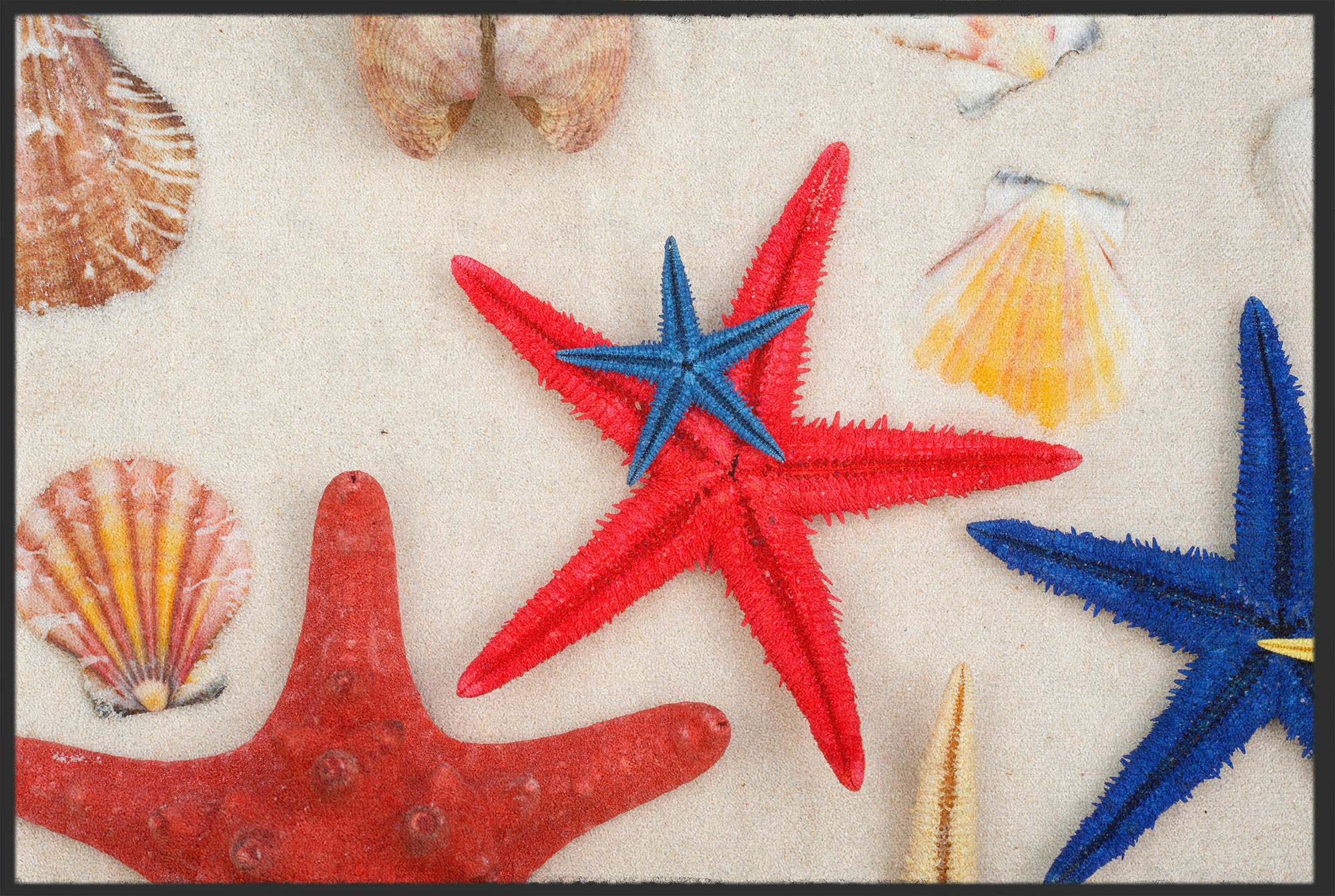 Fussmatte Seestern 10790