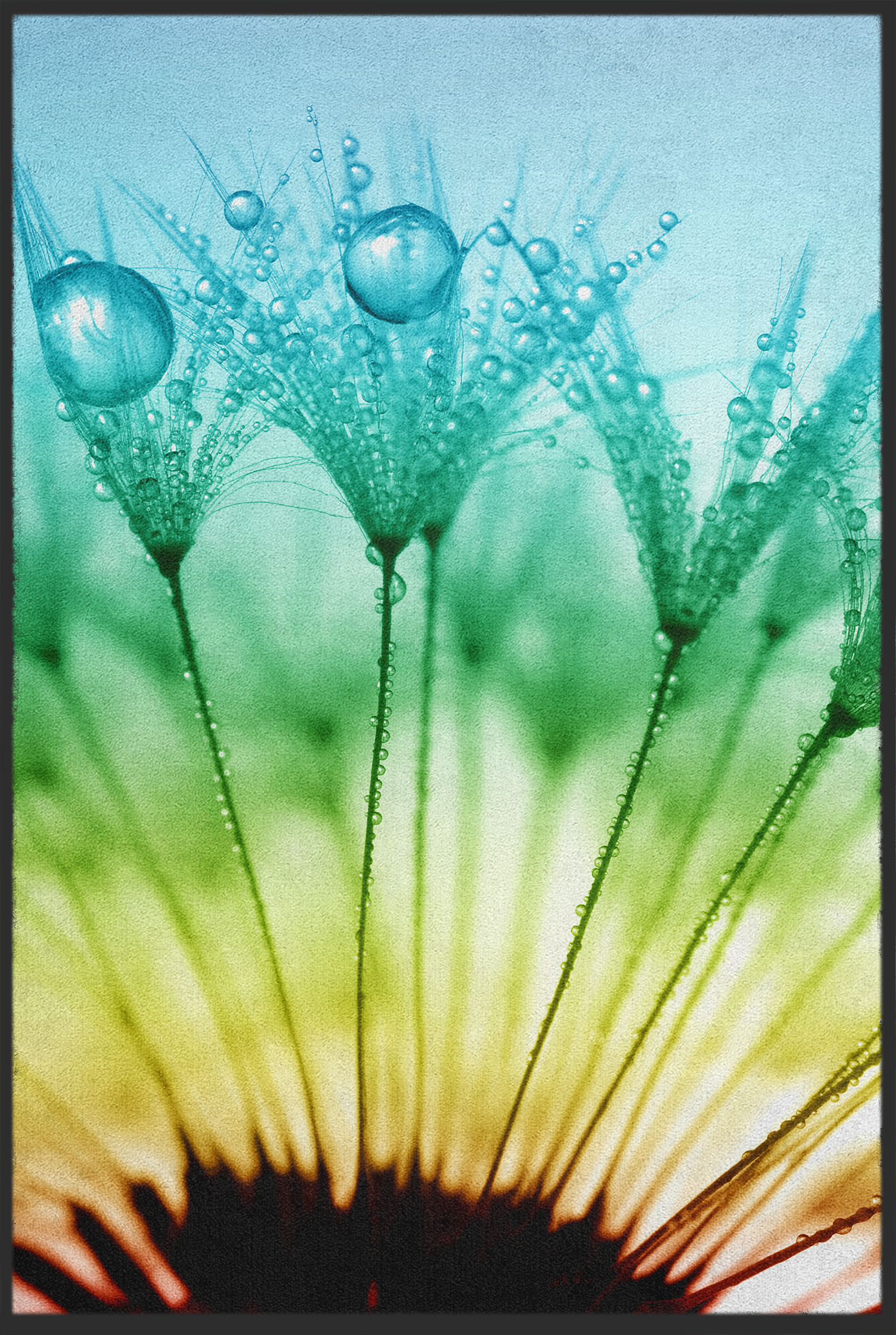 Fussmatte Blüte 10812