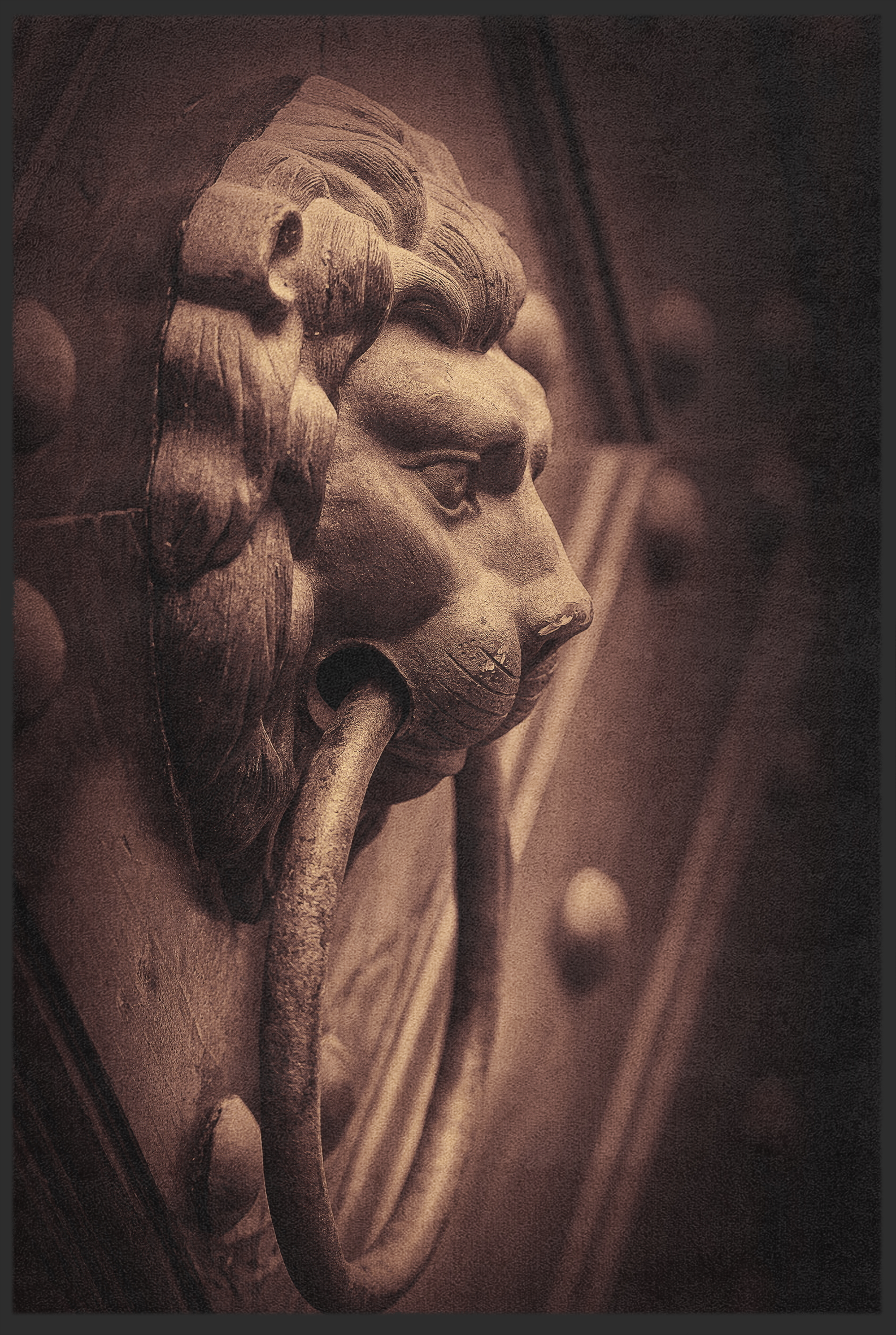 Fussmatte Löwe 10824