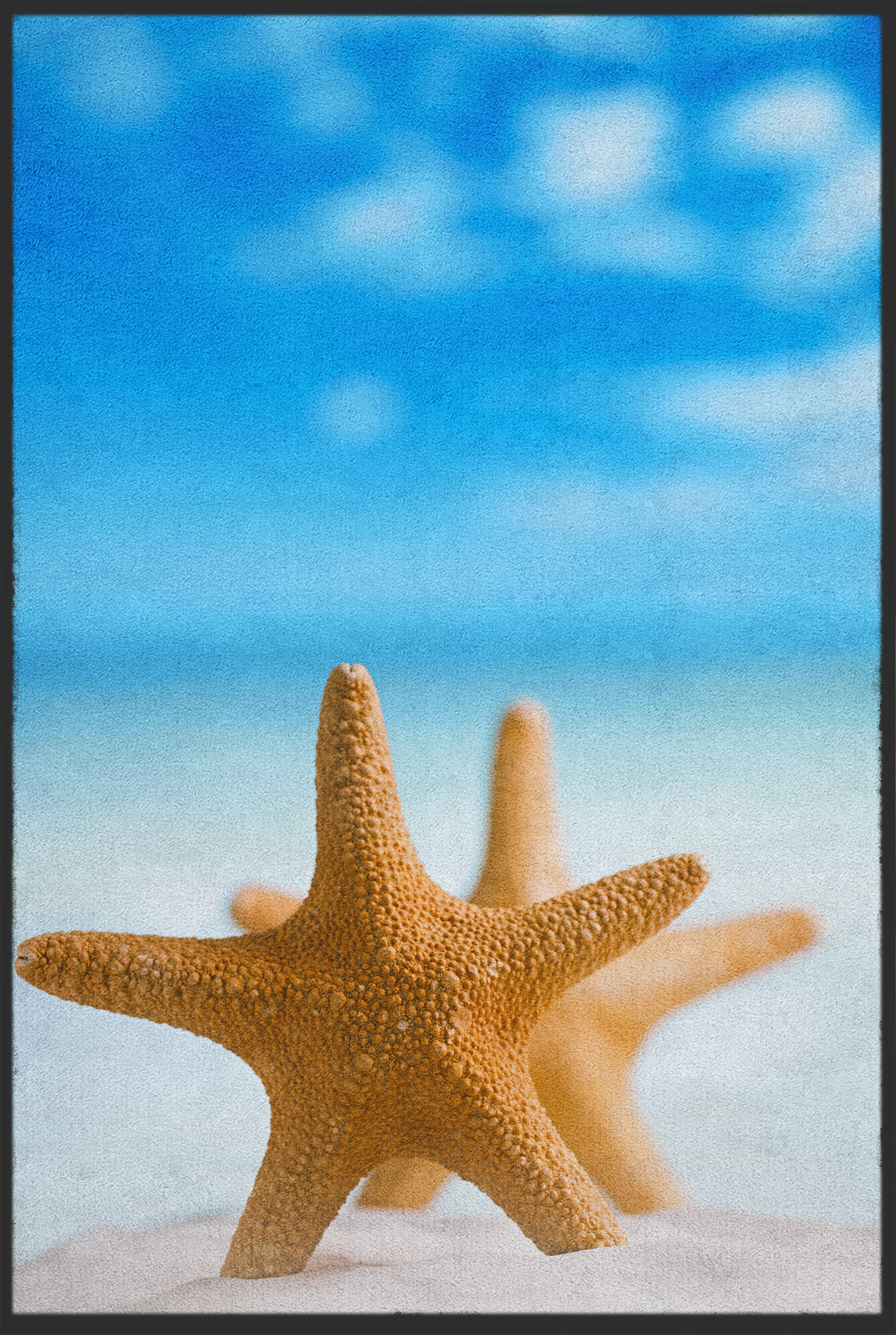 Fussmatte Seesterne 10827