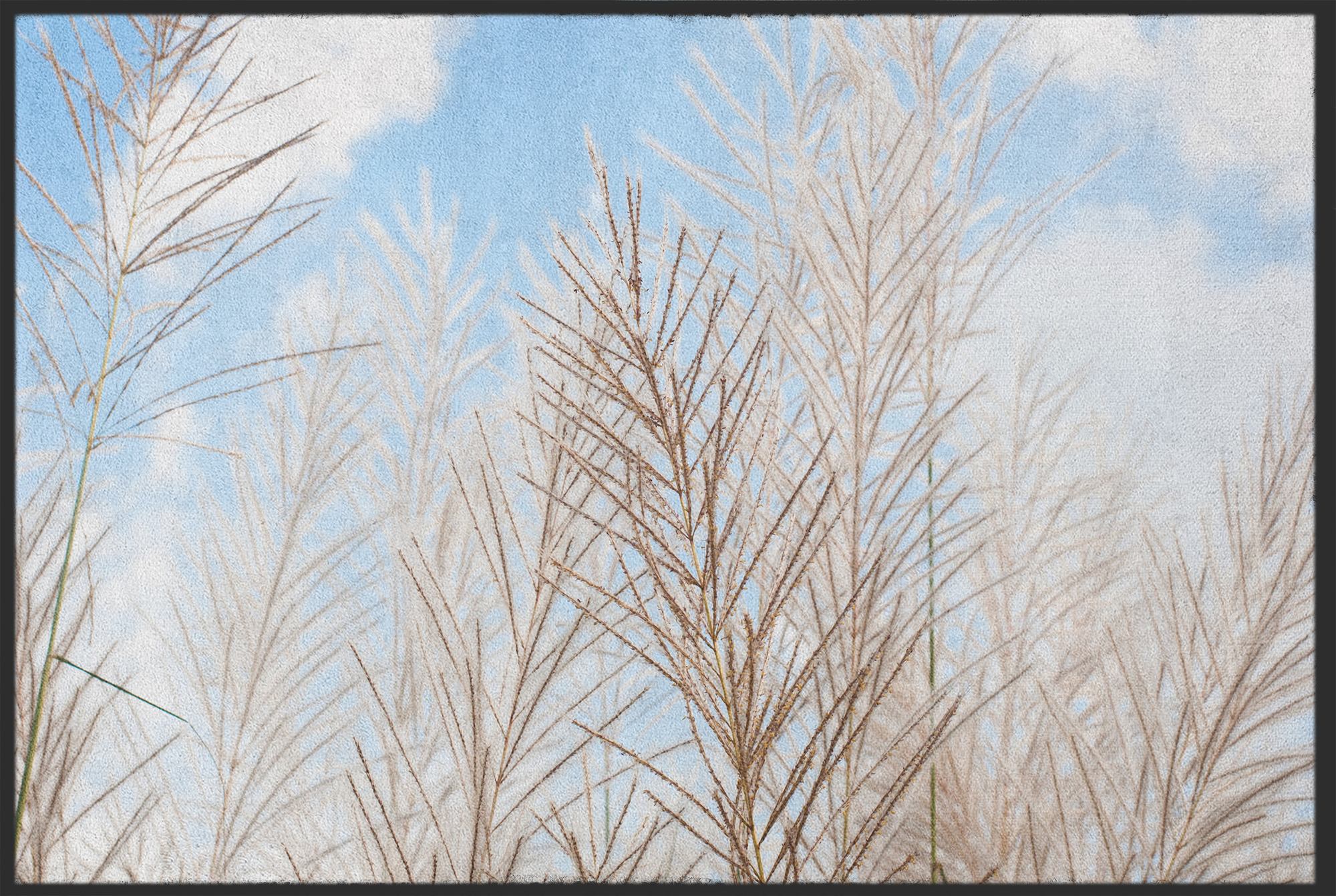 Fussmatte Zweige 10846