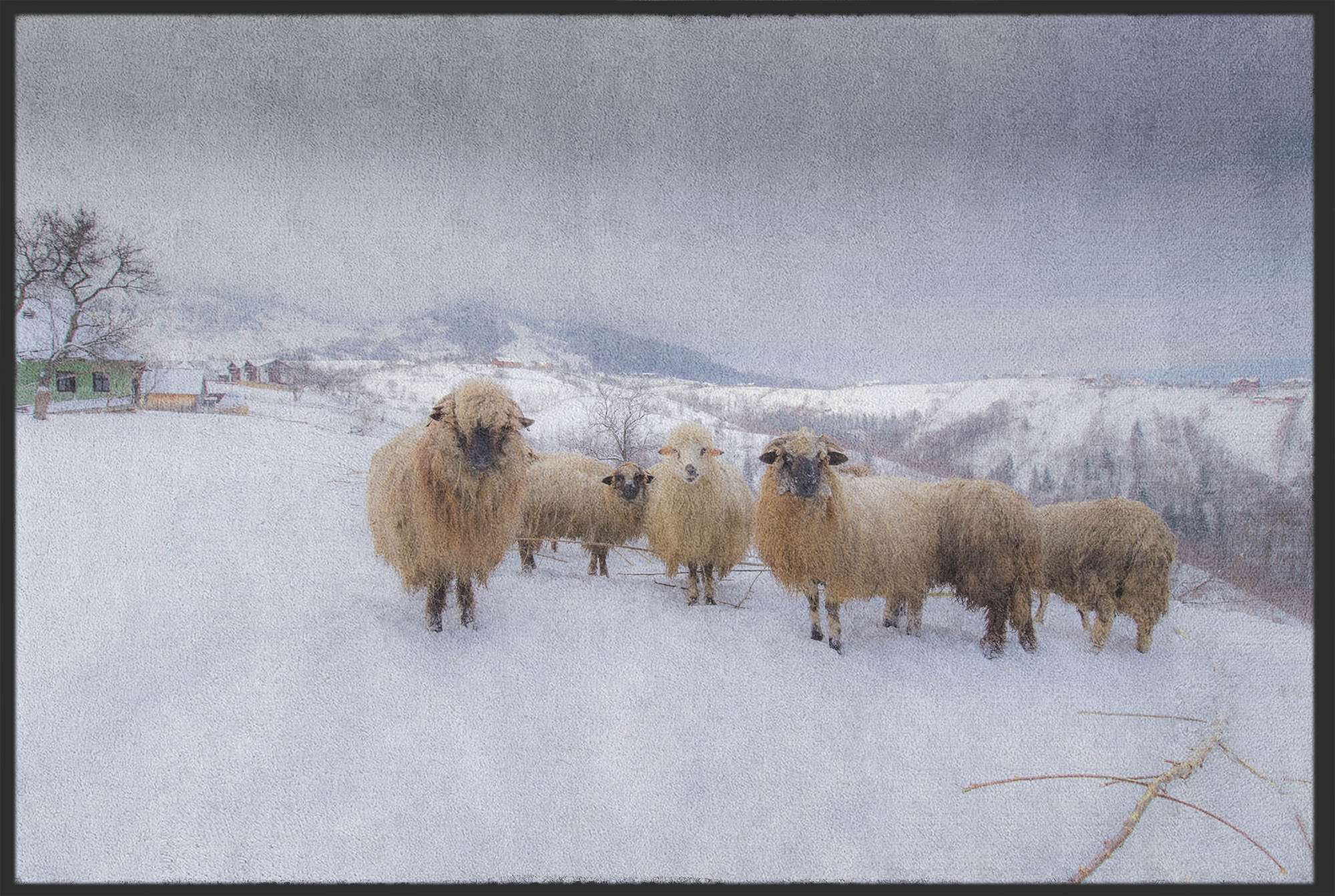 Fussmatte Schafe 10847