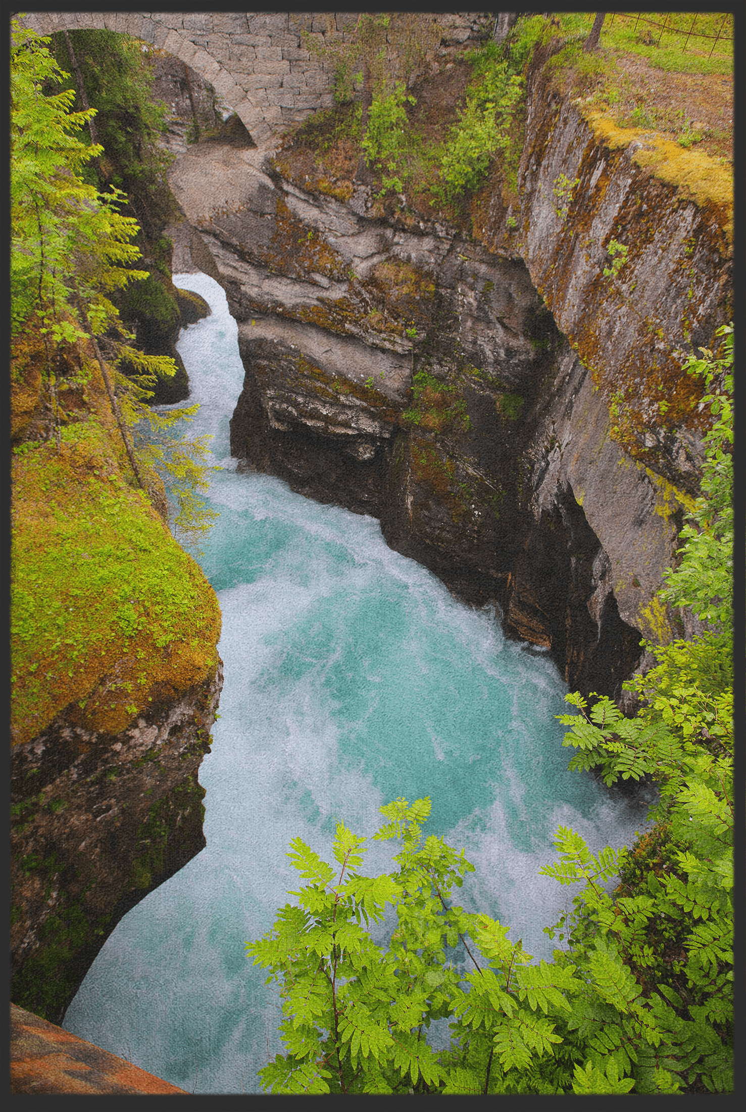 Fussmatte Schlucht 10865