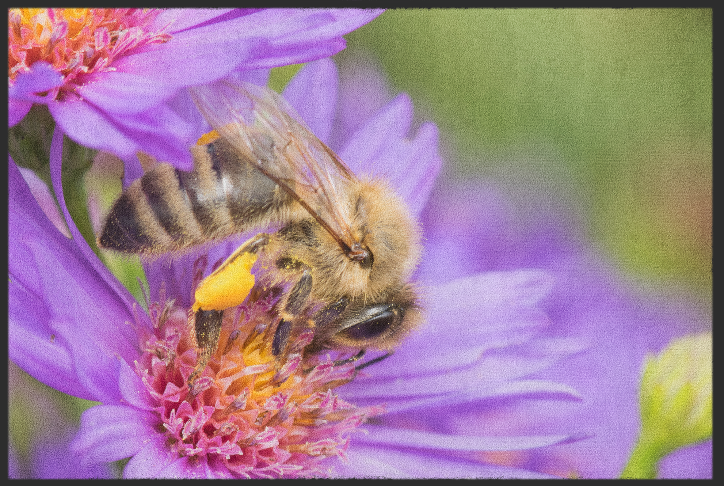 Fussmatte Biene und Blüte 10874