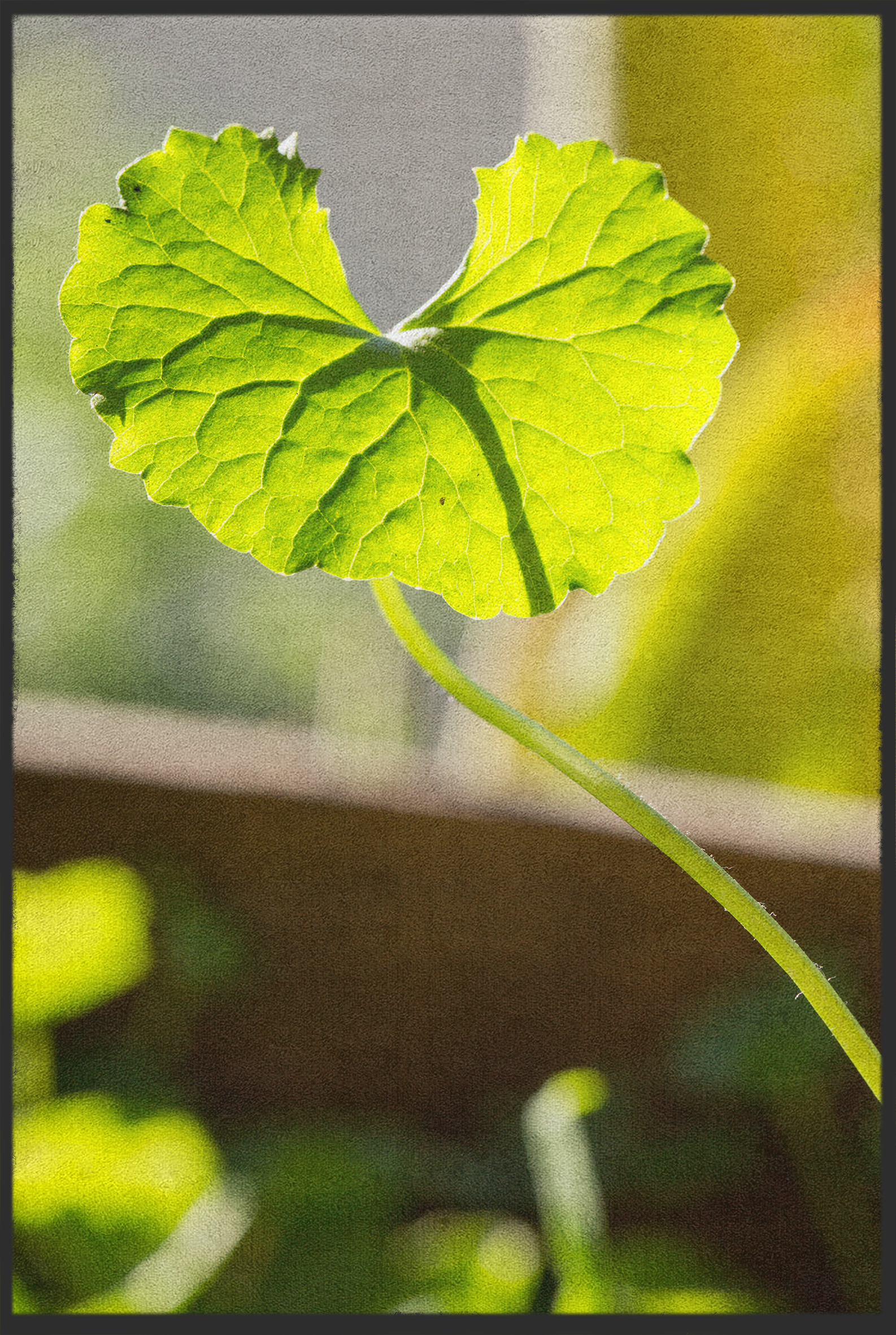 Fussmatte Blatt 10890