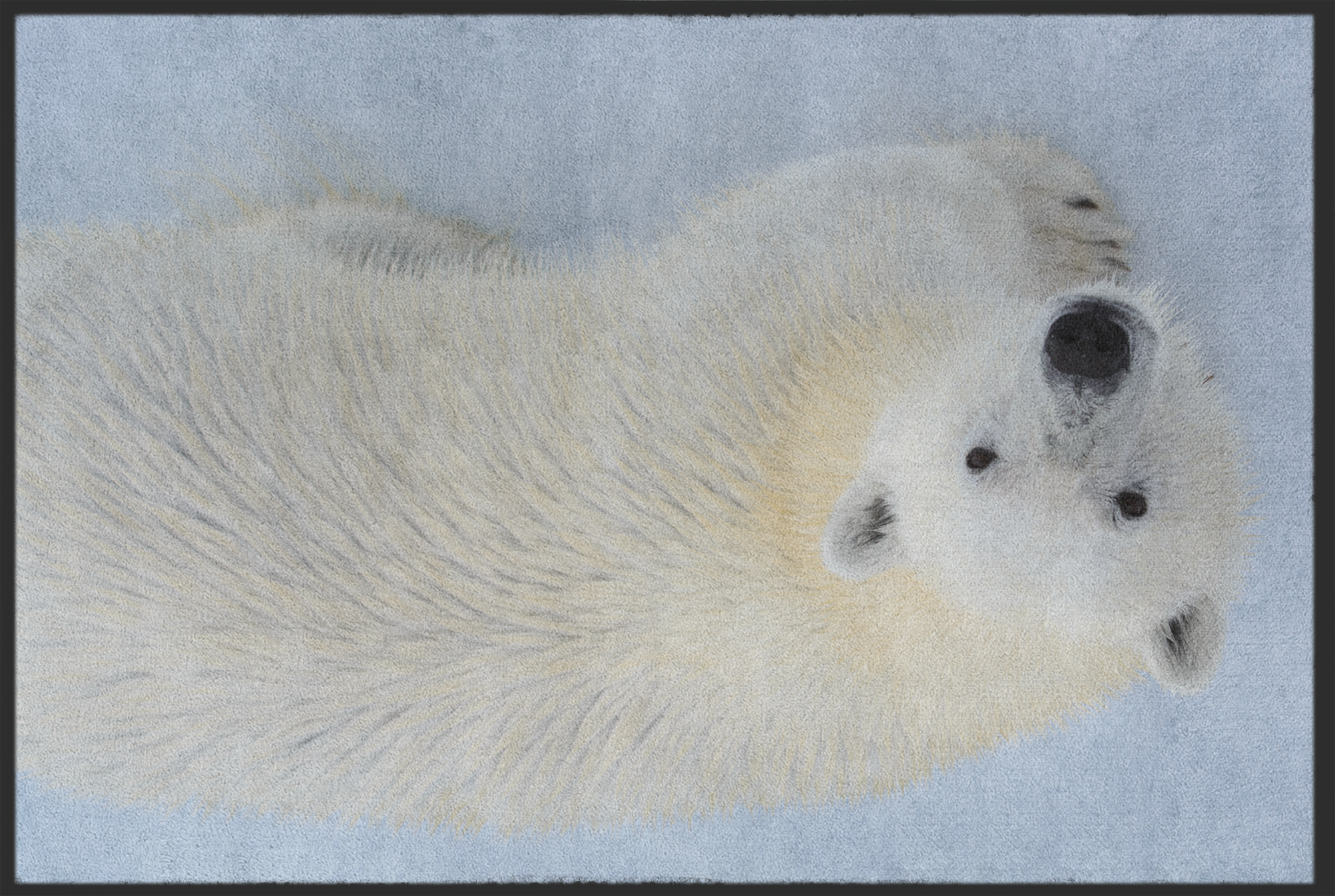 Fussmatte Eisbär 10899